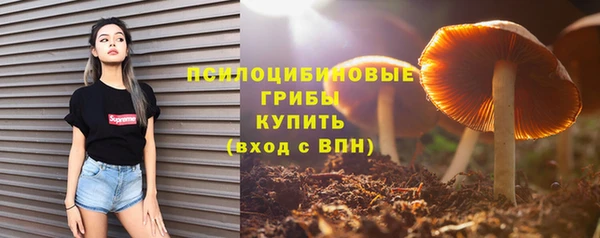 трава Бугульма