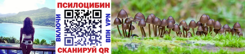MEGA ССЫЛКА  Волгореченск  Галлюциногенные грибы мицелий 